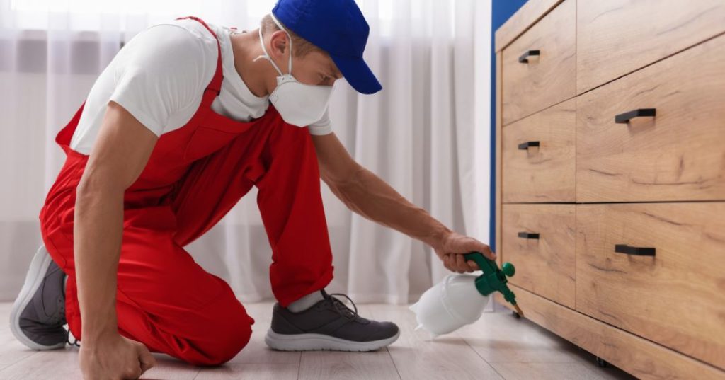 capa dedetizacao em Serra